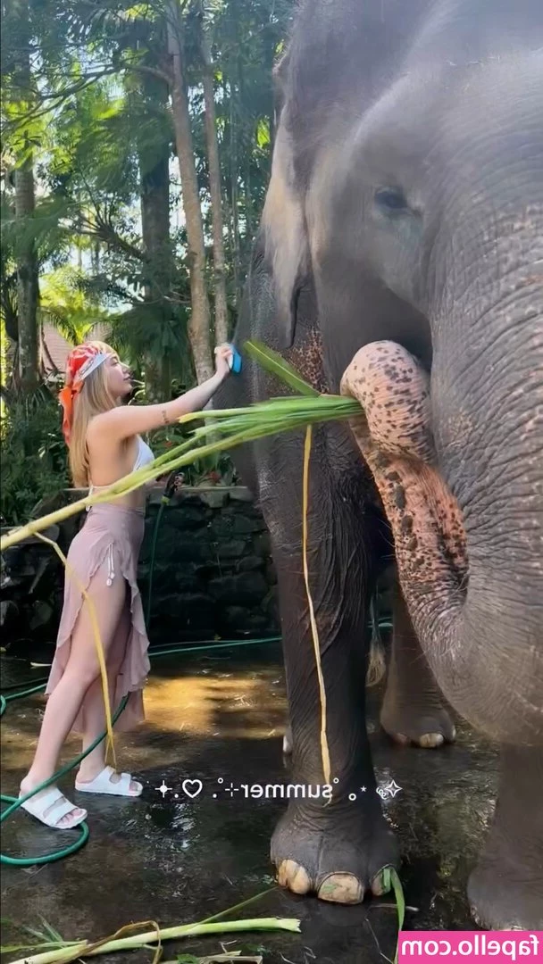 miafitz - New lingerie, what do you’s think? 😘