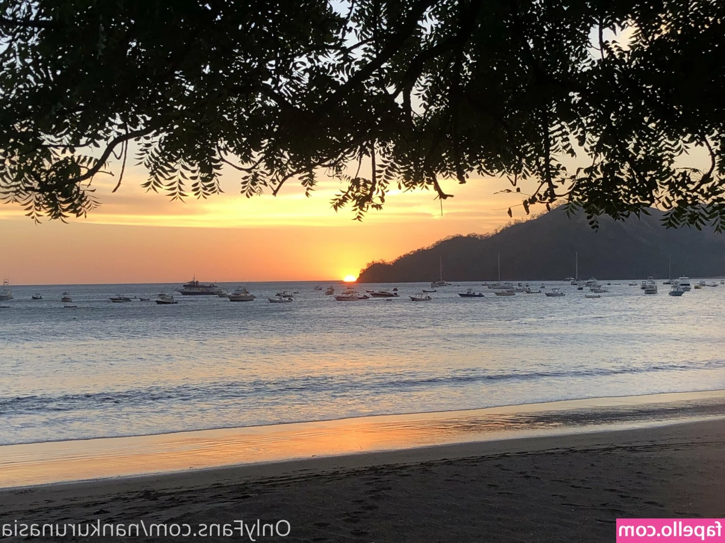 nankurunasia - Would you instruct me what to do