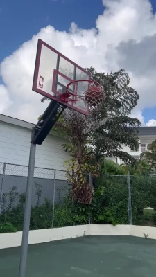 Sian Gabbidon [ sian-gabbidon ] - What are your thoughts on fishnet stockings?
