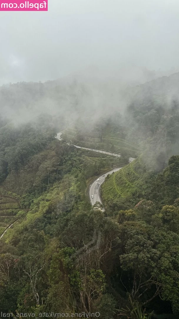 kate_evans_real [ kate-evans-real ] - 脹卜卜 紅卜卜