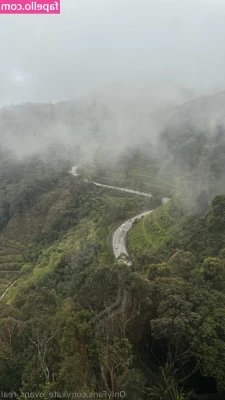 kate_evans_real [ kate-evans-real ] - 脹卜卜 紅卜卜