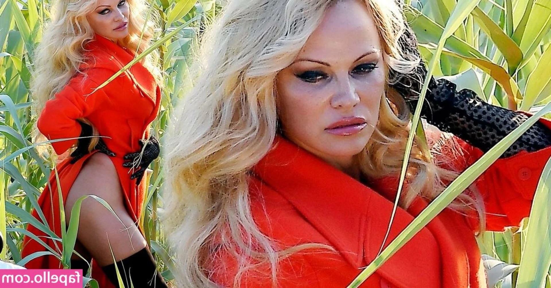 Pam Anderson [ pam-anderson ] - 💌 In case you missed it 💌  RESTOCK ALERT  Hey babes! There's a