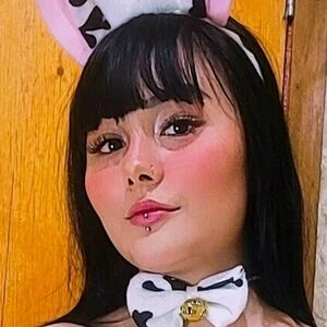 the-registered-mild-ddd