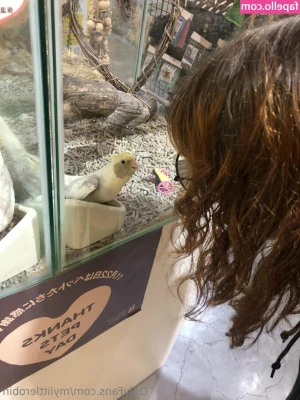 mylittlerobin [ mylittlerobin-1 ] - Hot wife  happy life