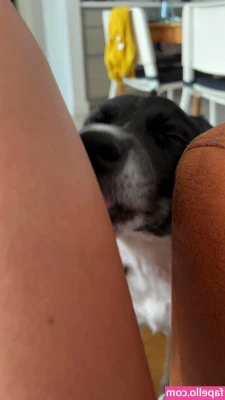 Burçin Erol [ burin-erol ] - Oh woo hoo  Fat kitten