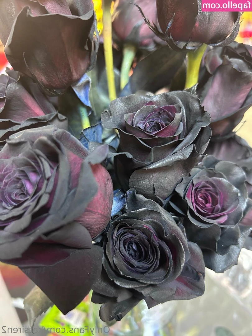 katsiren2 - Old af idk if I ever posted this