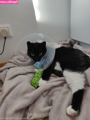 angielynxxx - Do you think i look sexy    Consideras que me veo sexy