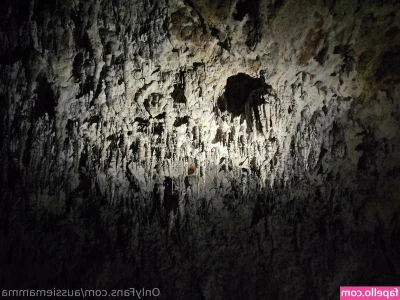 Poppy Brightwater [ poppy-brightwater ] - Just showing off 😏  Which is your favorite part?