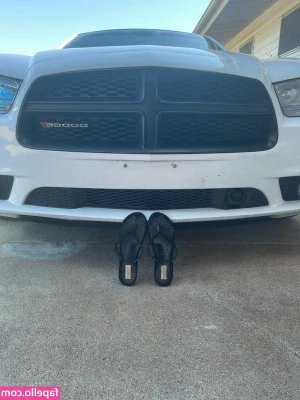 Baby Spider [ baby-spider ] - Alguien en zipolit3