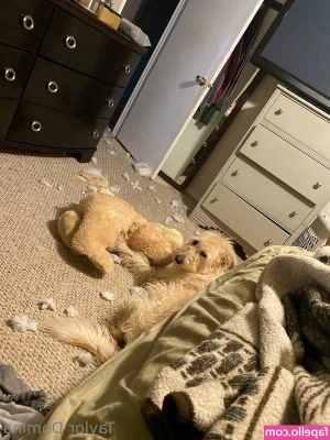 Taylor Domina [ taylor-domina ] - Can you spank my pussy and twist my nipples? I like it a lilrough 😈