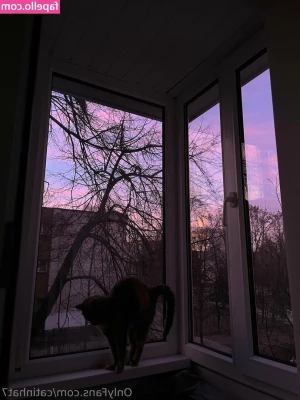 catinhat7 - Body alarm💖