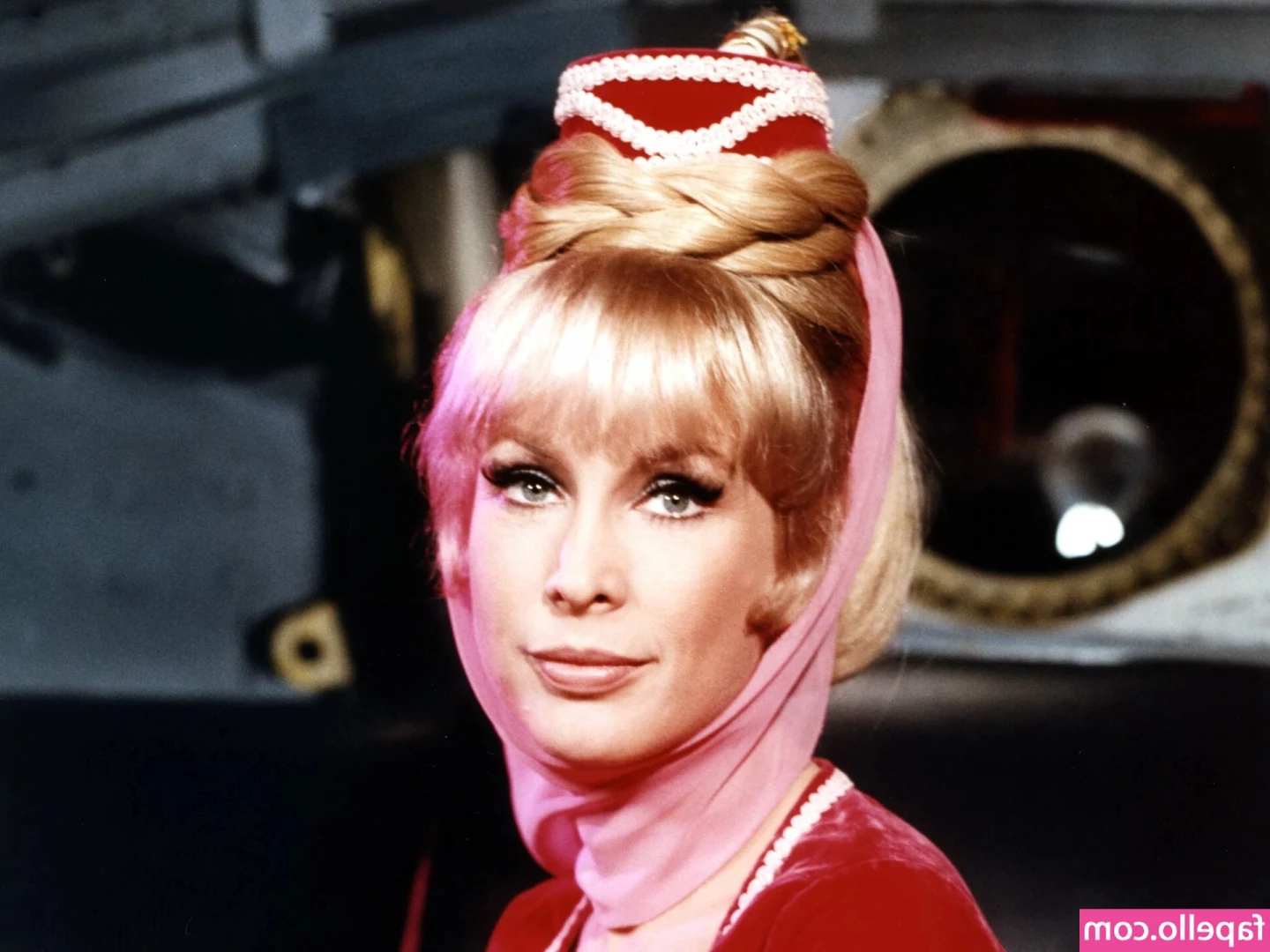 Barbara Eden [ barbara-eden ] - Do you like my bikini?