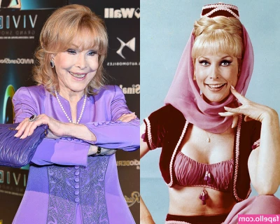 Barbara Eden [ barbara-eden ] - Sitting or standing getting you dick sucked?
