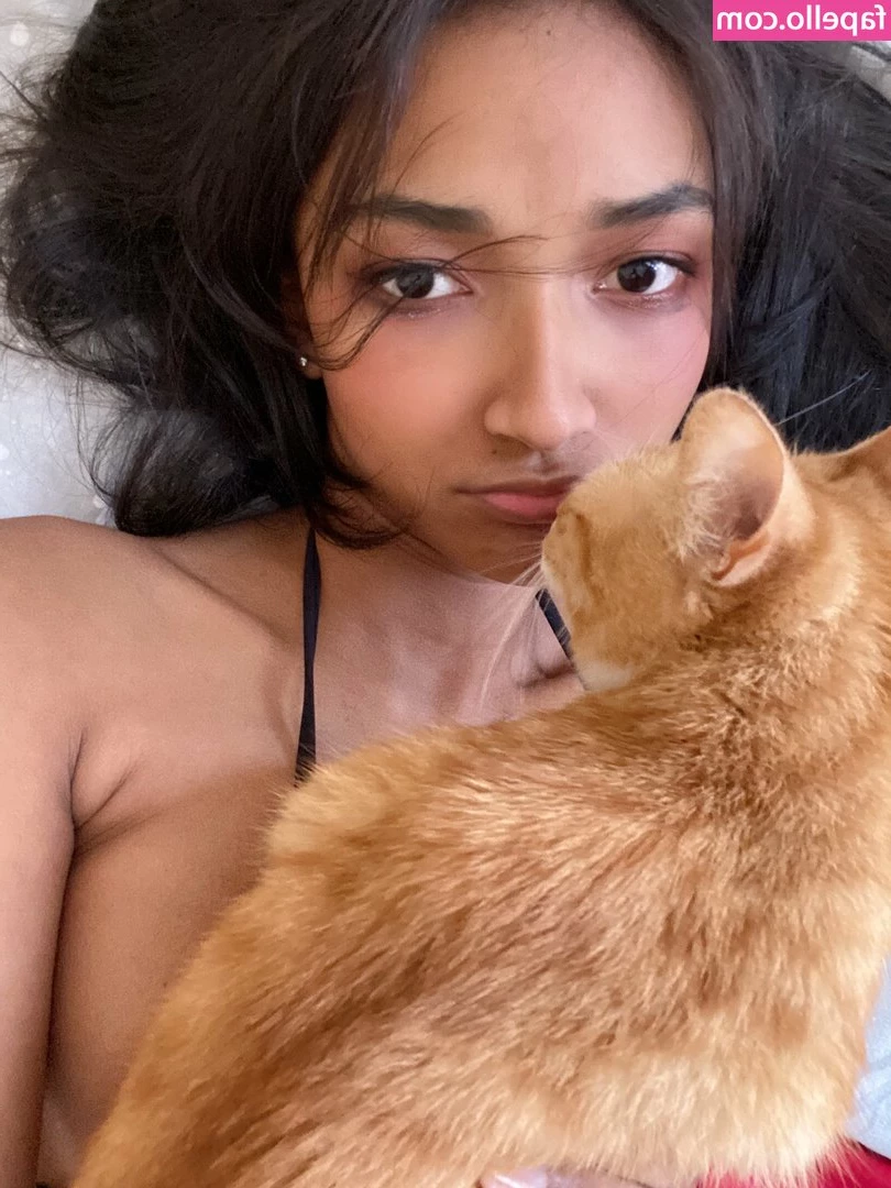 gracie [ gracie-1 ] - Sundaze   work of art or nah