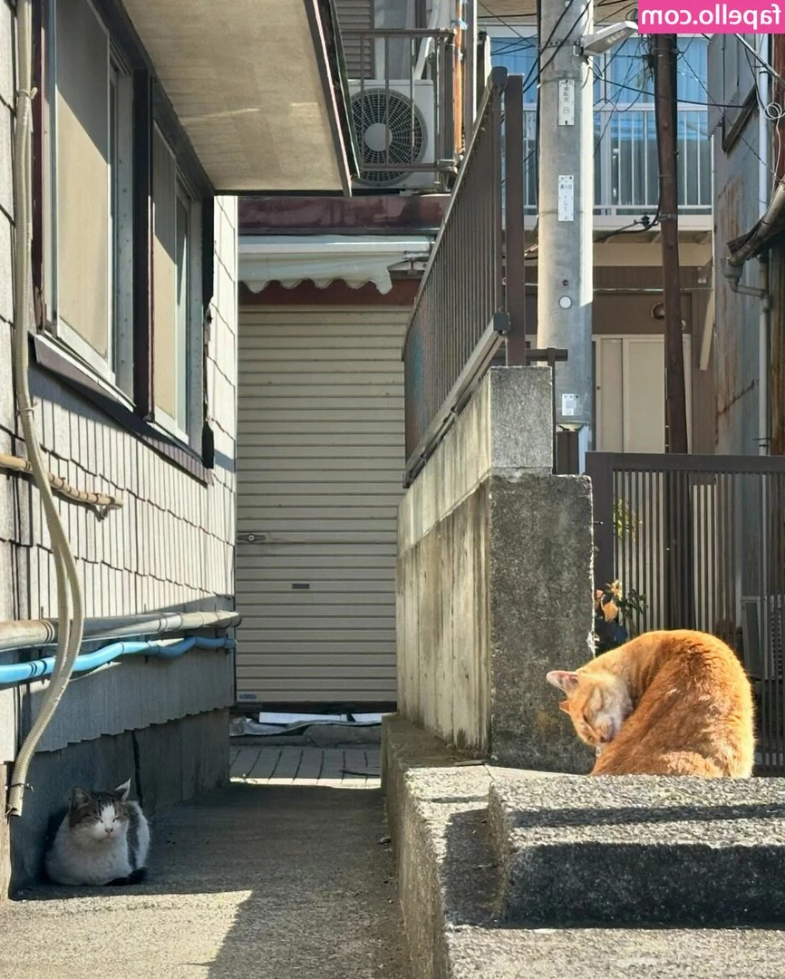 skr_u_ [ skr-u ] - Nurse Isla is waiting