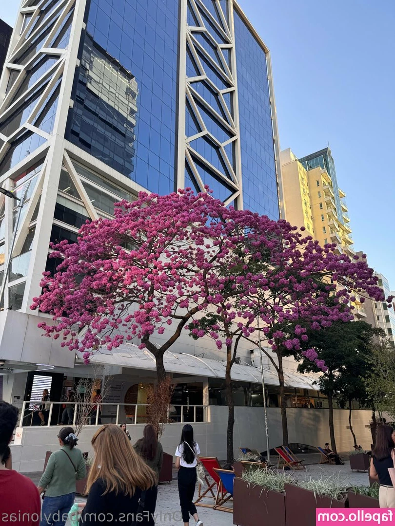 babylonias - hesitated to post these cause i hate how off color my eyebrows are