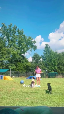 Millie Bobby Brown [ millie-bobby-brown-1 ] - Looking for something to eat