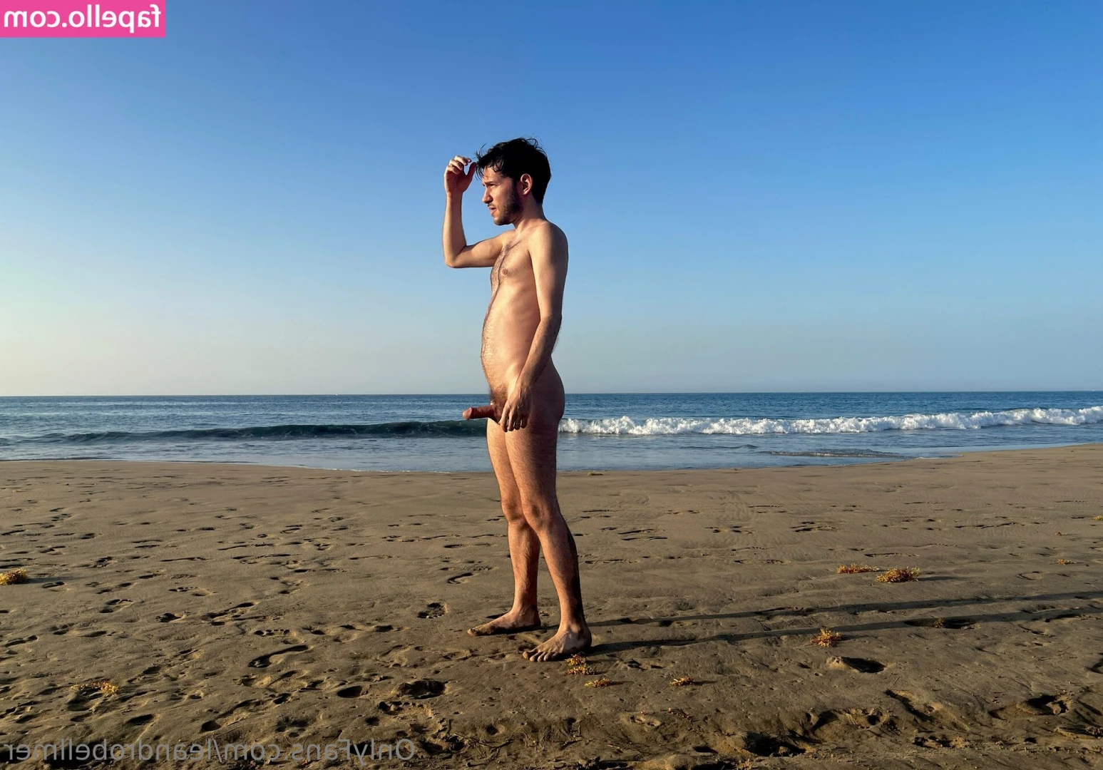 leandrobellmer - I love henna