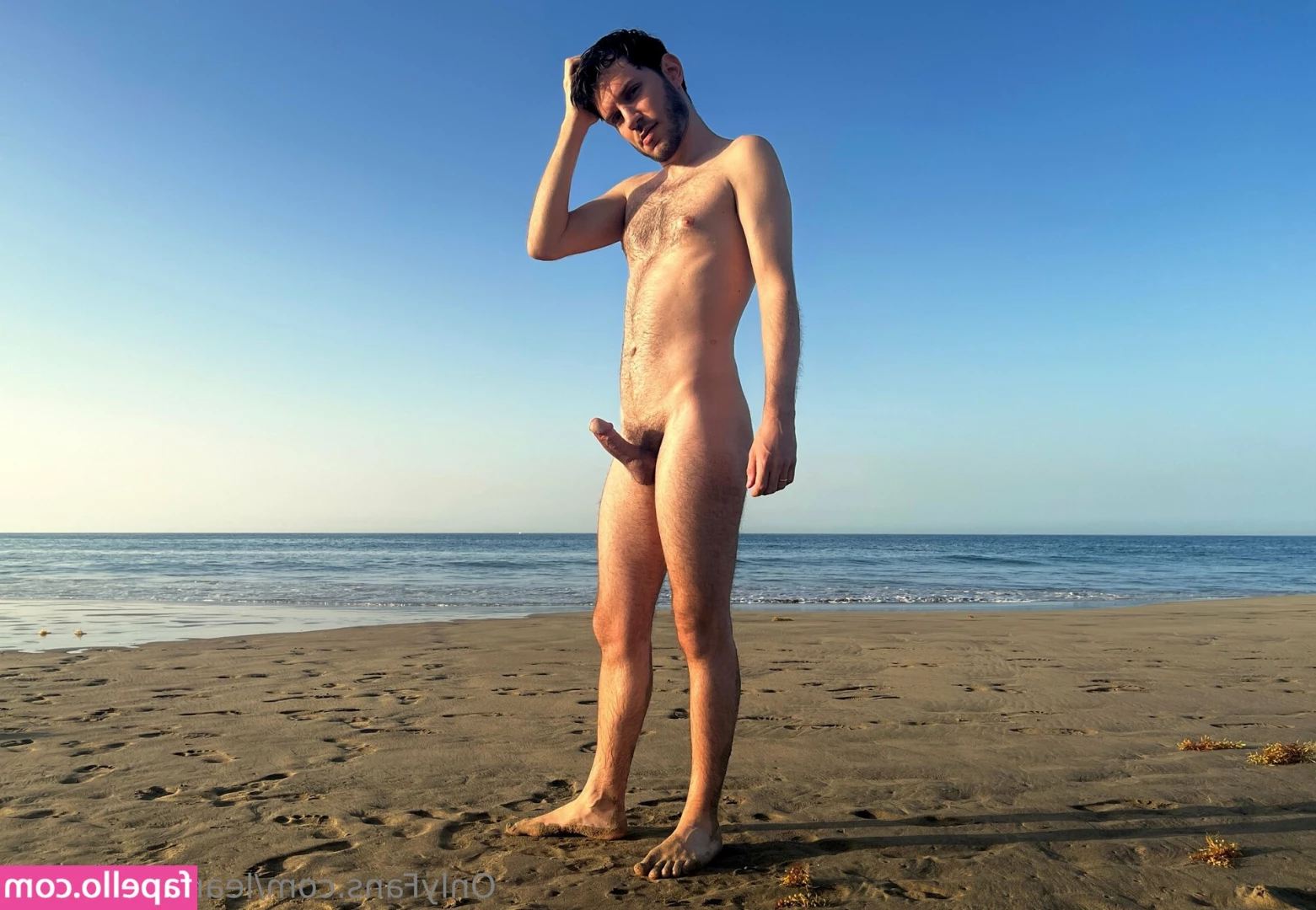 leandrobellmer - BIGチンポ