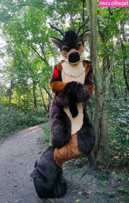 orun_the_deer [ orun-the-deer ] - I make your fantasies come true