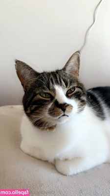 badd_birdie [ badd-birdie ] - To post, or not to post is the question. 😈 tell me your answer in