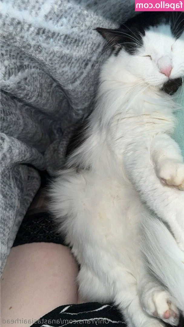 anastasiaairhead - Let s chat on my vip babe